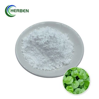 Ekstrak Centella Asiatica Murni