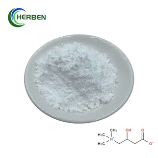 Bubuk Mentah L Karnitin