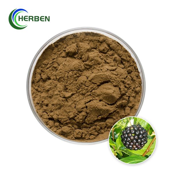 Bubuk Ekstrak Ginseng Siberia